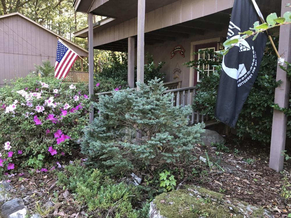 Mountain Harbor Forest View Lodge cottage